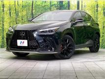2023 Lexus NX