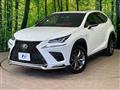 2020 Lexus NX