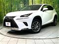 2020 Lexus NX