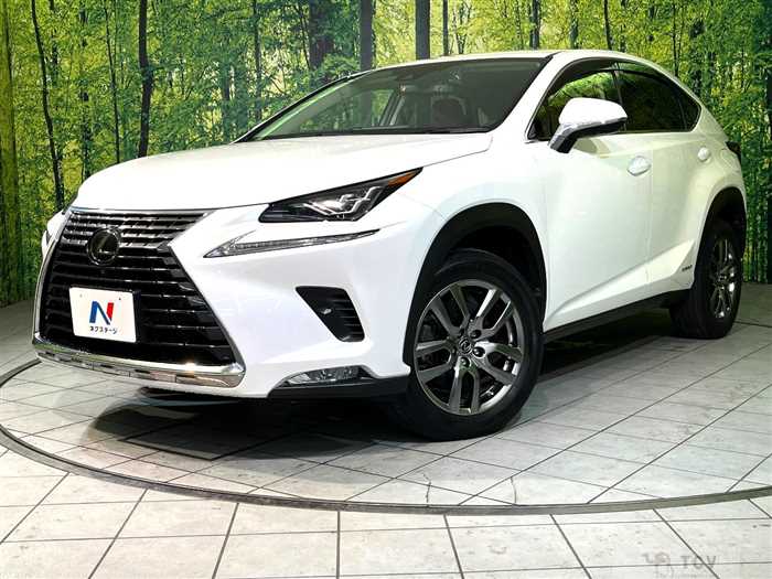 2020 Lexus NX