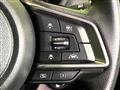 2017 Subaru Subaru Others