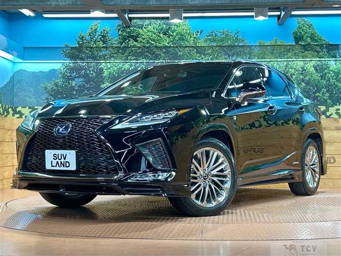 2019 Lexus RX