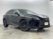 2024 Lexus RX