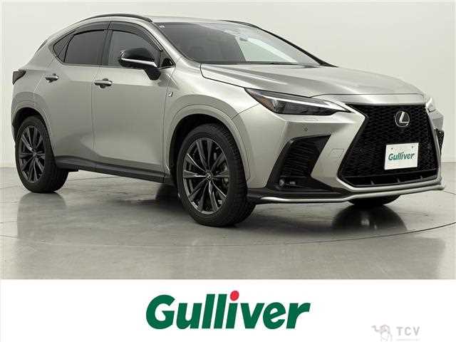 2021 Lexus NX