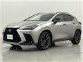 2021 Lexus NX
