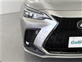 2021 Lexus NX