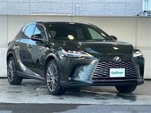 2024 Lexus RX