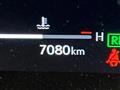 2024 Lexus Other