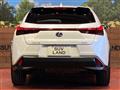 2019 Lexus Other