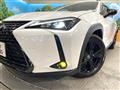 2020 Lexus Other