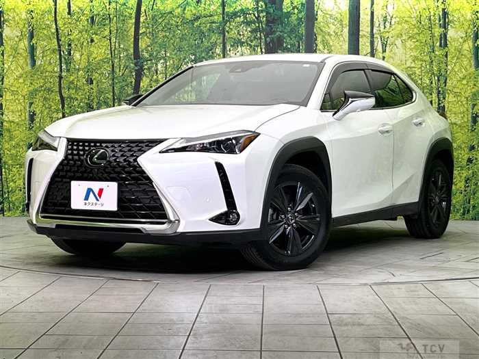 2023 Lexus Other