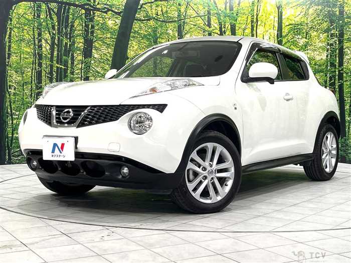 2012 Nissan Juke