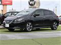2019 Nissan Leaf