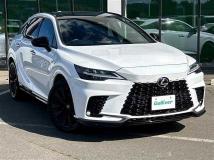 2022 Lexus RX