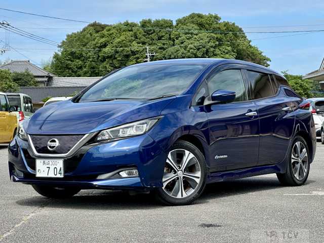 2017 Nissan Nissan Others