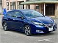 2017 Nissan Nissan Others