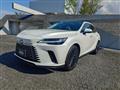 2024 Lexus RX