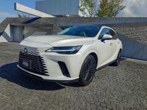 2024 Lexus RX