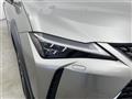2019 Lexus UX