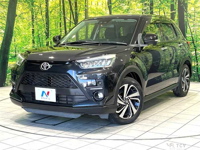 2019 Toyota Raize