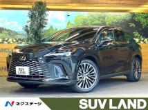 2024 Lexus RX