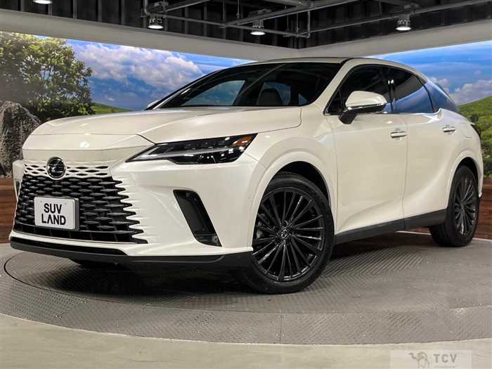 2024 Lexus RX