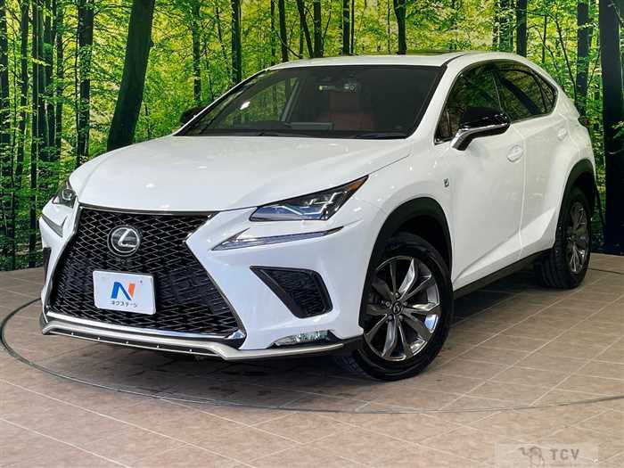 2020 Lexus NX