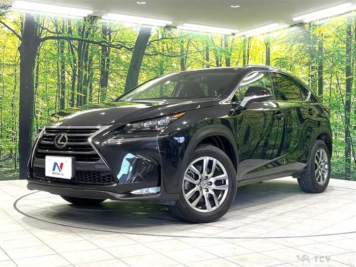 2016 Lexus NX