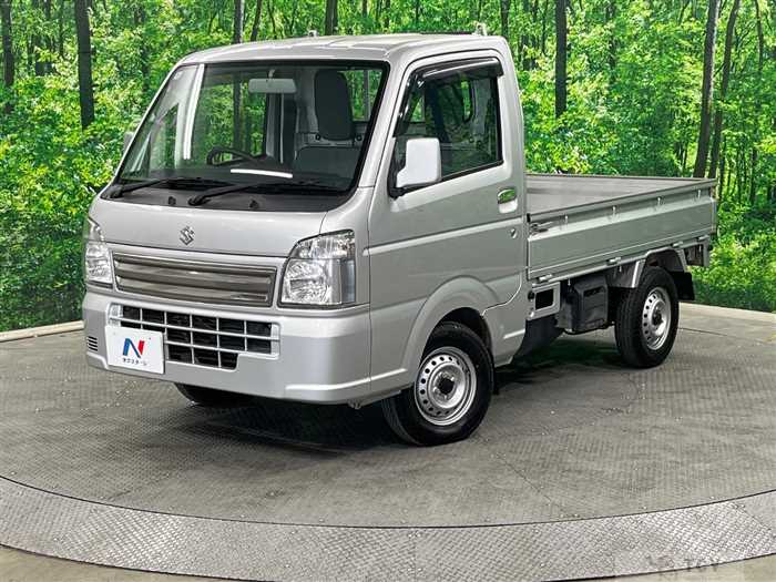 2019 Suzuki Carry Truck
