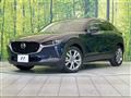 2019 Mazda Mazda Others