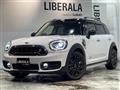 2017 BMW MINI