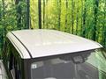 2019 Suzuki Lapin