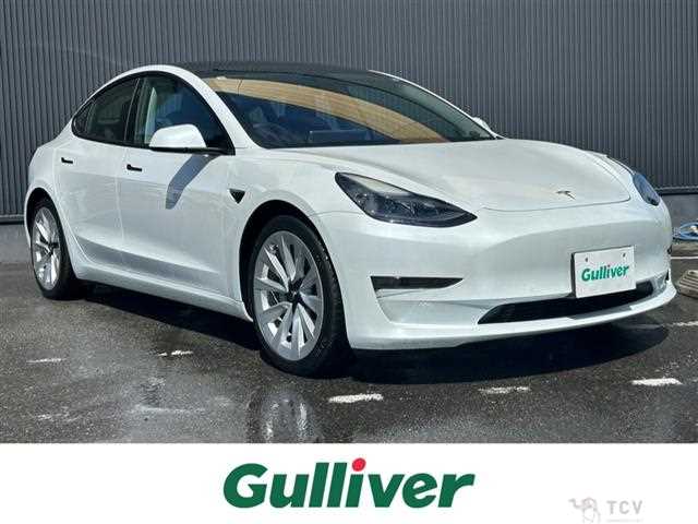 2021 Tesla Motors Others