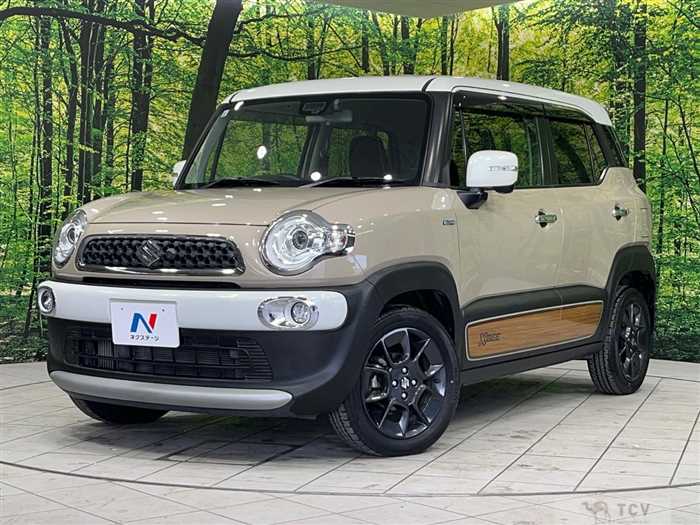 2019 Suzuki Suzuki Others