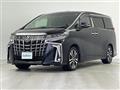 2021 Toyota Alphard