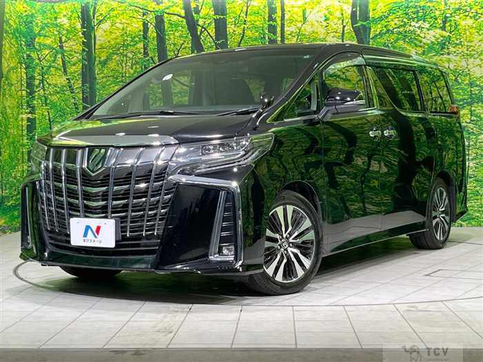 2019 Toyota Alphard