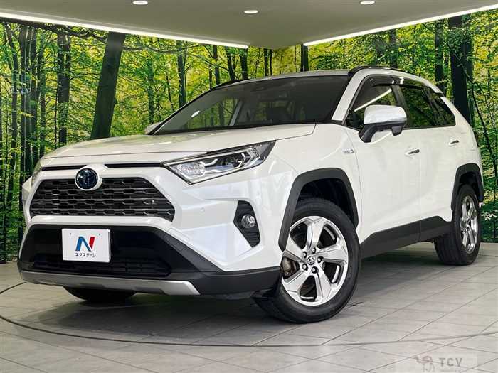 2019 Toyota RAV4