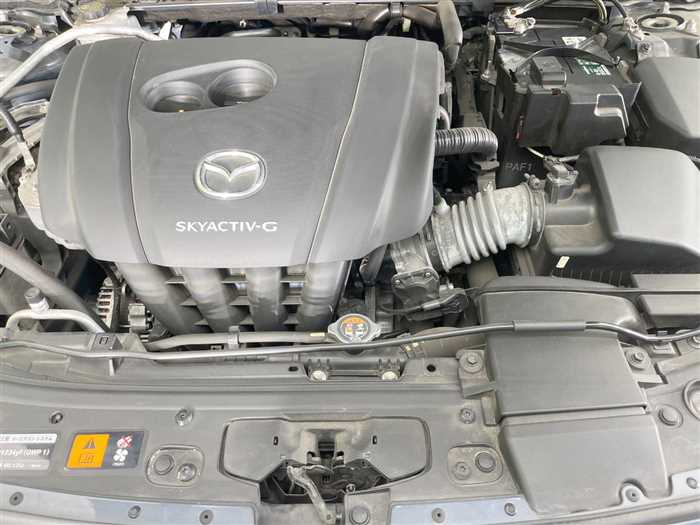 Mazda Mazda3 2021 photo 5
