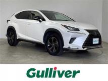 2019 Lexus NX