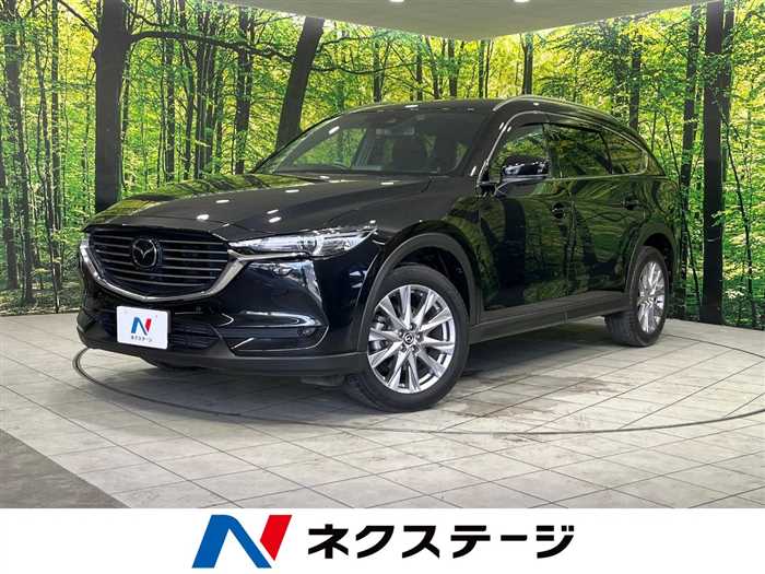 Mazda Cx-8 2019 photo 4