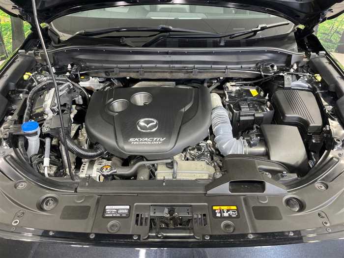 Mazda Cx-8 2019 photo 5