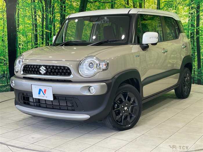 2019 Suzuki Suzuki Others