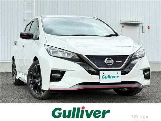 2019 Nissan Leaf