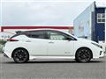 2019 Nissan Leaf