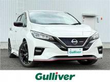 2019 Nissan Leaf