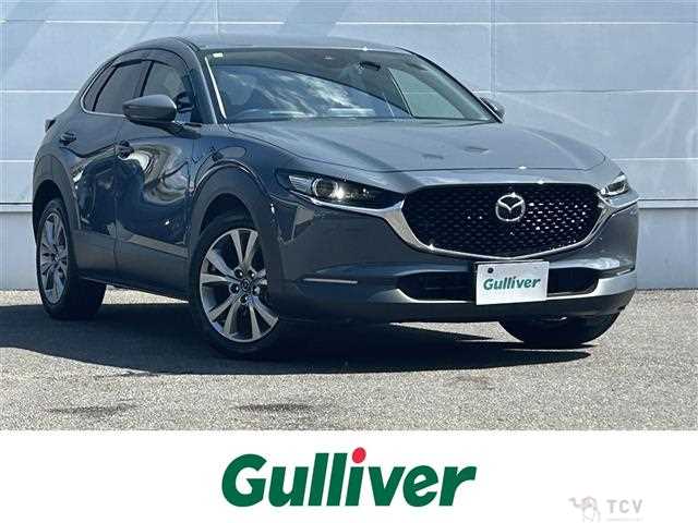 2021 Mazda CX-3
