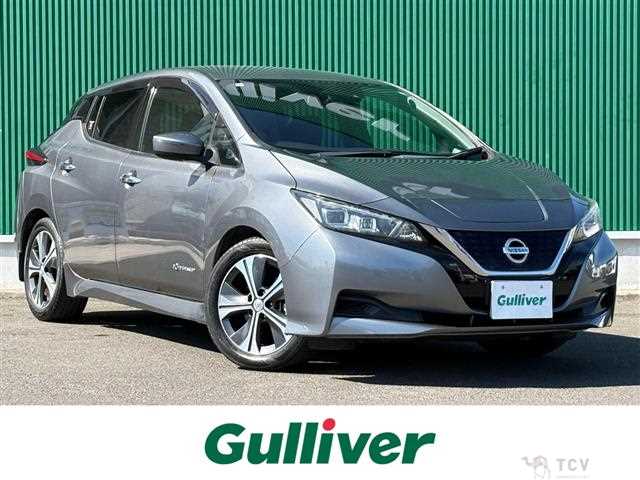 2018 Nissan Leaf