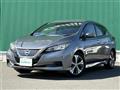 2018 Nissan Leaf