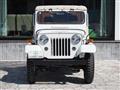 1988 Mitsubishi Jeep
