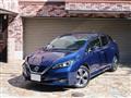 2018 Nissan Nissan Others
